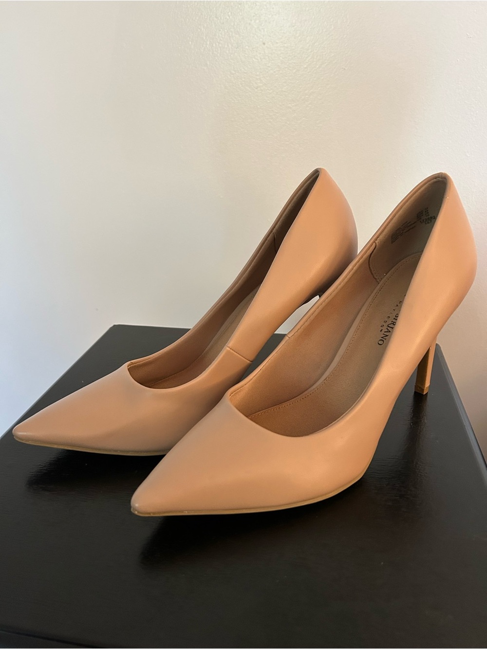 Valentino Garavani Blush Nude Pointed-Toe Leather Pumps